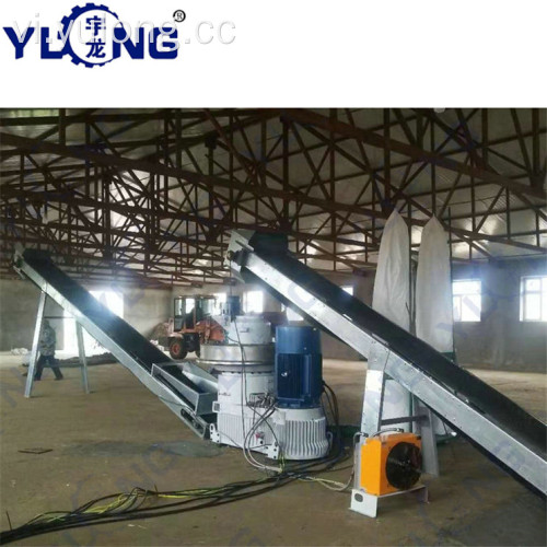 Máy ép viên YULONG XGJ560 cho gỗ bạch đàn